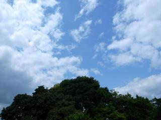 20090425 031.JPG