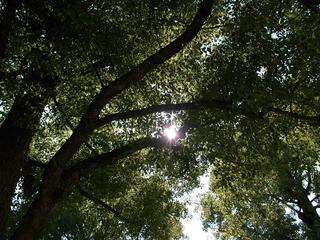 R0010281.JPG