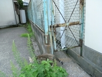 R0013603.jpg
