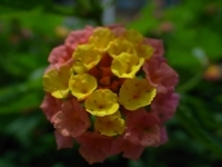 R0013653.jpg