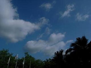 R0013932.JPG