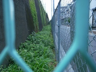 RIMG0002.jpg