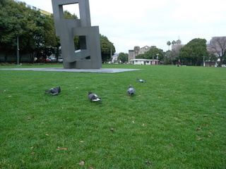 RIMG0212.JPG