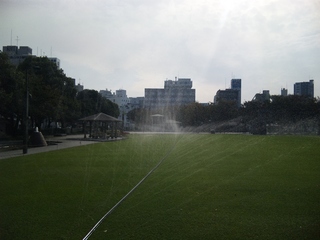 SH380007.JPG